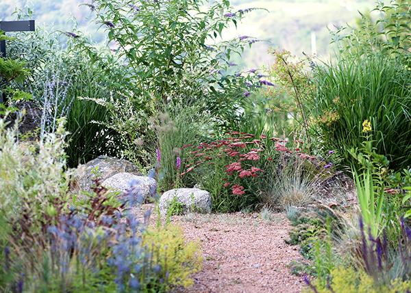 gardening-img-03